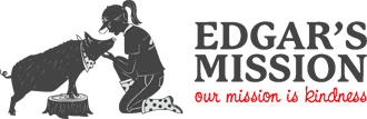 Logo-Edgar's Mission